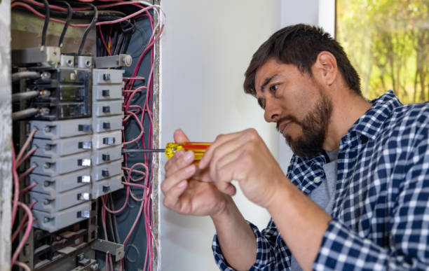 Best Electrical System Inspection  in Parkway, CA